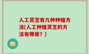 人工灵芝有几种种植方法(人工种植灵芝的方法有哪些？)