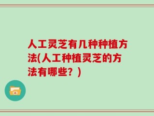 人工灵芝有几种种植方法(人工种植灵芝的方法有哪些？)