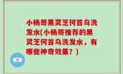 小杨哥黑灵芝何首乌洗发水(小杨哥推荐的黑灵芝何首乌洗发水，有哪些神奇效果？)