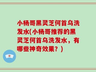 小杨哥黑灵芝何首乌洗发水(小杨哥推荐的黑灵芝何首乌洗发水，有哪些神奇效果？)