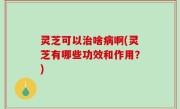 灵芝可以治啥病啊(灵芝有哪些功效和作用？)