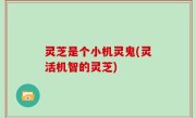 灵芝是个小机灵鬼(灵活机智的灵芝)