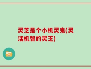 灵芝是个小机灵鬼(灵活机智的灵芝)