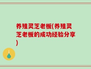 养殖灵芝老板(养殖灵芝老板的成功经验分享)