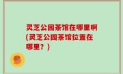 灵芝公园茶馆在哪里啊(灵芝公园茶馆位置在哪里？)