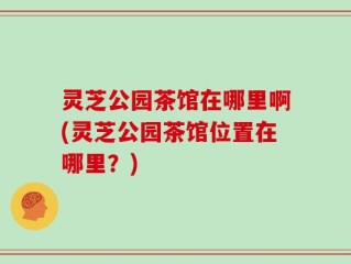灵芝公园茶馆在哪里啊(灵芝公园茶馆位置在哪里？)