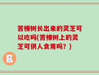 苦楝树长出来的灵芝可以吃吗(苦楝树上的灵芝可供人食用吗？)