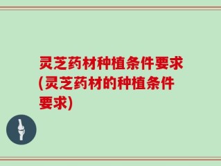 灵芝药材种植条件要求(灵芝药材的种植条件要求)