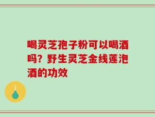 喝灵芝孢子粉可以喝酒吗？野生灵芝金线莲泡酒的功效