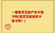 一棵紫灵芝能产多少孢子粉(紫灵芝能结多少孢子粉？)