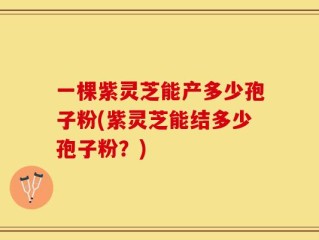 一棵紫灵芝能产多少孢子粉(紫灵芝能结多少孢子粉？)