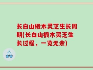 长白山椴木灵芝生长周期(长白山椴木灵芝生长过程，一览无余)