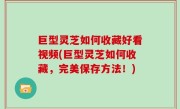 巨型灵芝如何收藏好看视频(巨型灵芝如何收藏，完美保存方法！)
