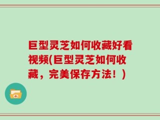 巨型灵芝如何收藏好看视频(巨型灵芝如何收藏，完美保存方法！)