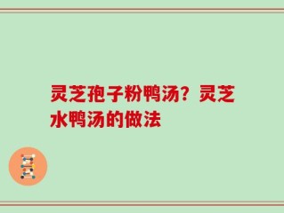 灵芝孢子粉鸭汤？灵芝水鸭汤的做法