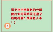 灵芝孢子粉颜色的分辨图片如何分辨灵芝孢子粉的纯度？从颜色入手！)