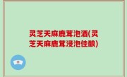 灵芝天麻鹿茸泡酒(灵芝天麻鹿茸浸泡佳酿)