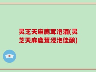 灵芝天麻鹿茸泡酒(灵芝天麻鹿茸浸泡佳酿)