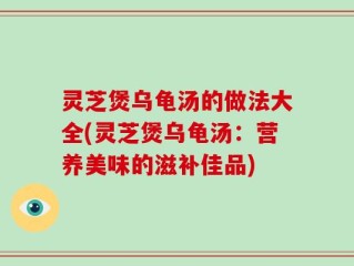 灵芝煲乌龟汤的做法大全(灵芝煲乌龟汤：营养美味的滋补佳品)
