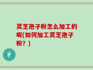 灵芝孢子粉怎么加工的呢(如何加工灵芝孢子粉？)