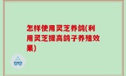 怎样使用灵芝养鸽(利用灵芝提高鸽子养殖效果)