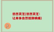 悠然灵芝(悠然灵芝：让身体自然抵御病痛)