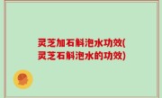 灵芝加石斛泡水功效(灵芝石斛泡水的功效)