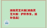 湖南灵芝大板(湖南灵芝大板：护肝养生，滋补佳品)