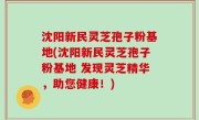 沈阳新民灵芝孢子粉基地(沈阳新民灵芝孢子粉基地 发现灵芝精华，助您健康！)