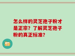 怎么样的灵芝孢子粉才是正宗？了解灵芝孢子粉的真正标准？