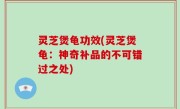 灵芝煲龟功效(灵芝煲龟：神奇补品的不可错过之处)