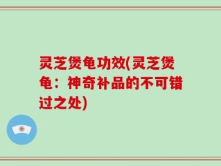 灵芝煲龟功效(灵芝煲龟：神奇补品的不可错过之处)