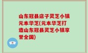 山东冠县店子灵芝小镇元本华芝(元本华芝打造山东冠县灵芝小镇享誉全国)