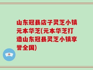 山东冠县店子灵芝小镇元本华芝(元本华芝打造山东冠县灵芝小镇享誉全国)