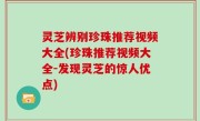 灵芝辨别珍珠推荐视频大全(珍珠推荐视频大全-发现灵芝的惊人优点)