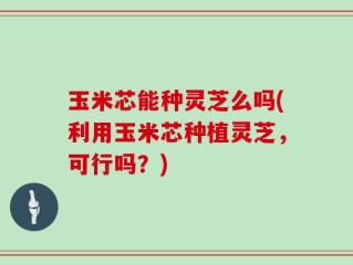 玉米芯能种灵芝么吗(利用玉米芯种植灵芝，可行吗？)