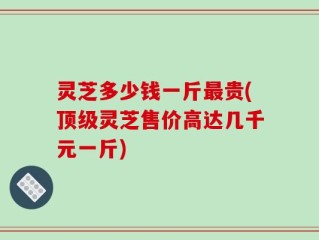 灵芝多少钱一斤最贵(顶级灵芝售价高达几千元一斤)