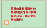 灵芝的生长周期有10年的吗(灵芝生长周期长达10年，知识你必须知道的！