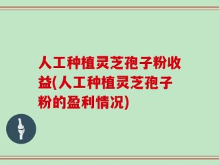 人工种植灵芝孢子粉收益(人工种植灵芝孢子粉的盈利情况)
