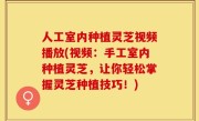 人工室内种植灵芝视频播放(视频：手工室内种植灵芝，让你轻松掌握灵芝种植技巧！)