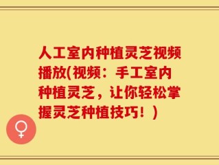 人工室内种植灵芝视频播放(视频：手工室内种植灵芝，让你轻松掌握灵芝种植技巧！)
