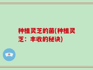种植灵芝的菌(种植灵芝：丰收的秘诀)