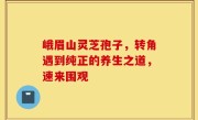 峨眉山灵芝孢子,转角遇到纯正的养生之道,速来围观