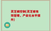 灵芝被控制(灵芝被有效管理，产业化水平提升)