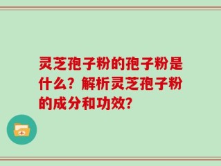 灵芝孢子粉的孢子粉是什么？解析灵芝孢子粉的成分和功效？
