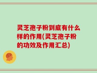 灵芝孢子粉到底有什么样的作用(灵芝孢子粉的功效及作用汇总)