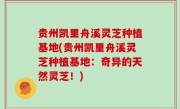 贵州凯里舟溪灵芝种植基地(贵州凯里舟溪灵芝种植基地：奇异的天然灵芝！)