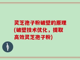 灵芝孢子粉破壁的原理(破壁技术优化，提取高效灵芝孢子粉)