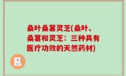 桑叶桑葚灵芝(桑叶、桑葚和灵芝：三种具有医疗功效的天然药材)