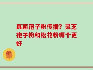真菌孢子粉传播？灵芝孢子粉和松花粉哪个更好